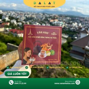 Cao Hoa Atiso Đông Trùng Hạ Thảo Vân Anh (Hộp Đỏ - 1kg)