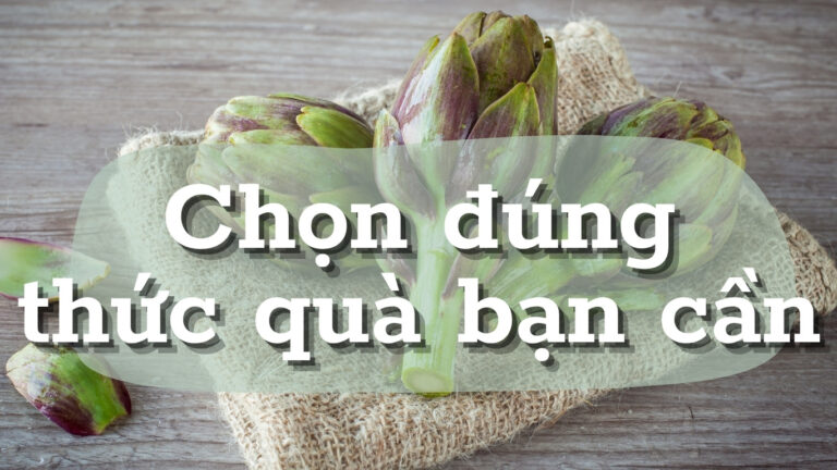 Trà túi lọc, Cao mềm hay Cao lỏng Atiso: Đâu là lựa chọn tối ưu cho bạn?