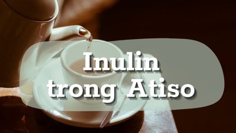 Inulin và hệ vi sinh đường ruột: Bí mật tiêu hóa khỏe từ rễ và thân cây Atiso